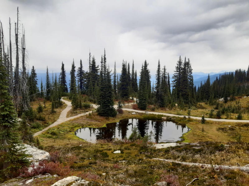 Heather Lake mit tollem Bergpanorama