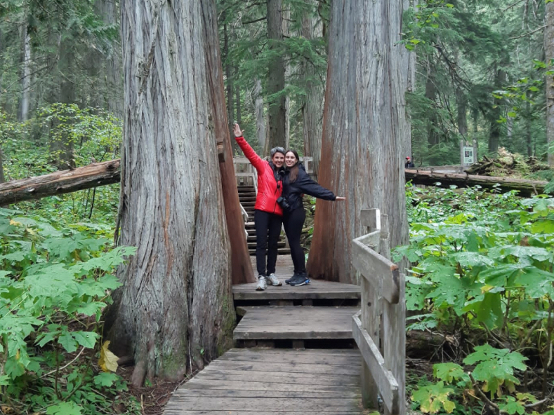 Giant Cedars Boardwalk