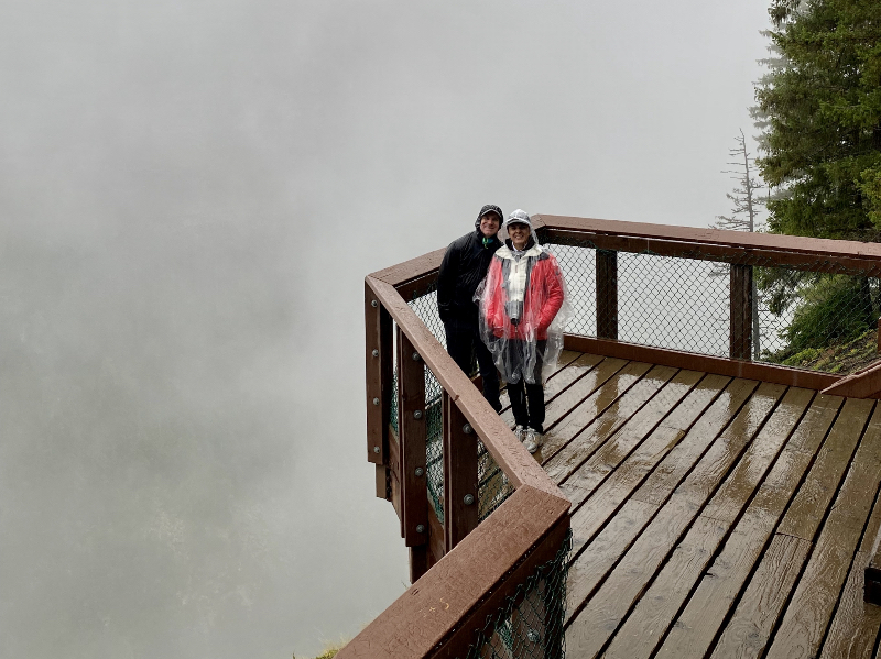 Aussichtspunkte an den Helmcken Falls