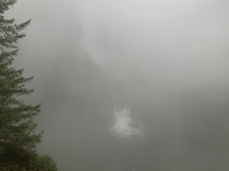 Hier irgendwo sind die Helmcken Falls