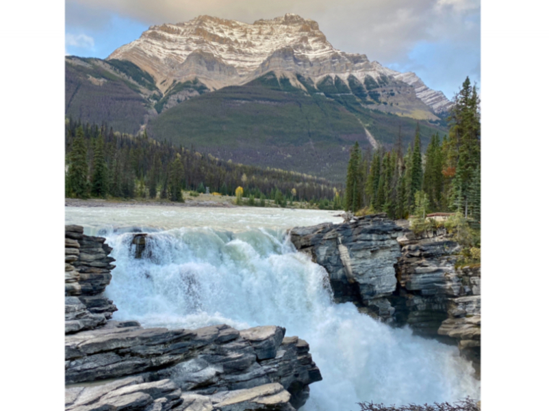 Athabasca Falls - gigantisch!