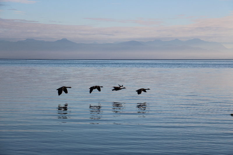 Parksville - Strandspaziergang