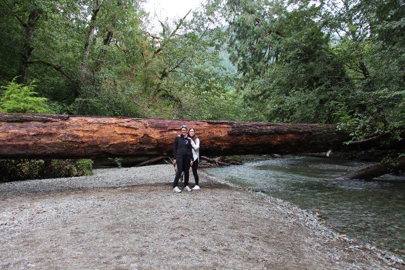 Cathedral Grove im Mac Millan Provincial Park