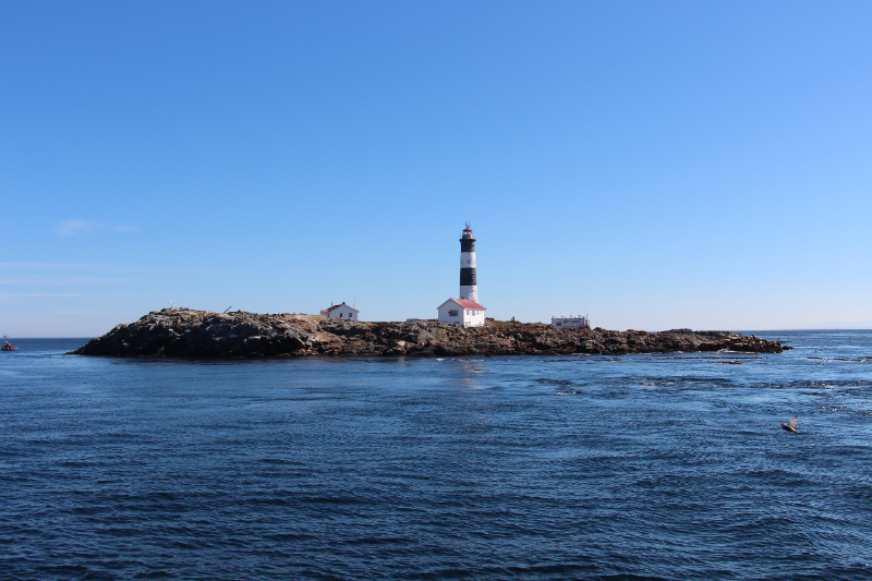 Whale-Watching-Tour - Lighthouse