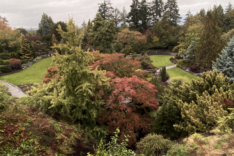 Queen Elizabeth Park