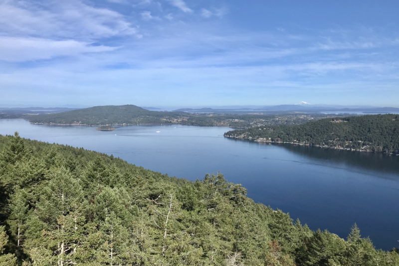 Malahat Skywalk